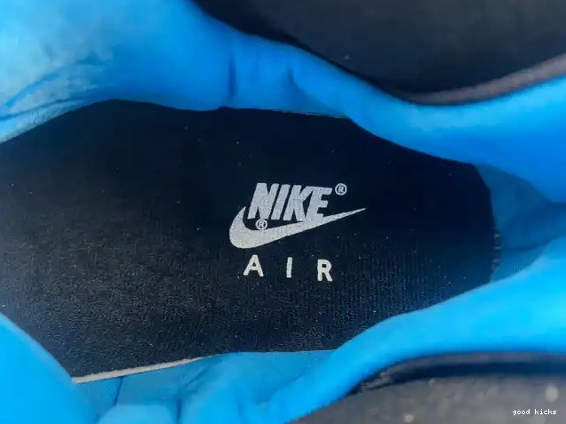 Powder Jordan FQ8992-101 Blue 9 Air 0405